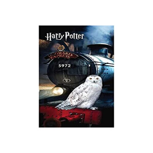 Serviette plage Hogwarts - Harry Potter - multicolore 70x140 cm