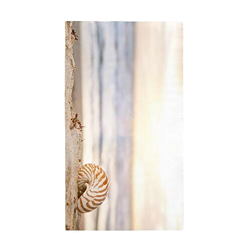 Serviette plage Escargot 70x150 cm