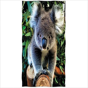 Serviette plage Koala couleuré 70x140 cm