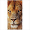 Serviette plage Lion 70x140 cm - miniature