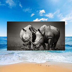 Serviette plage Rhinocéros couleur 70x150 cm