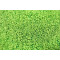 Serviette plage Tortue ethnique coton 90x180 cm - miniature variant 4